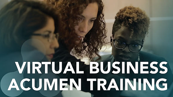 Virtual Business Acumen Training